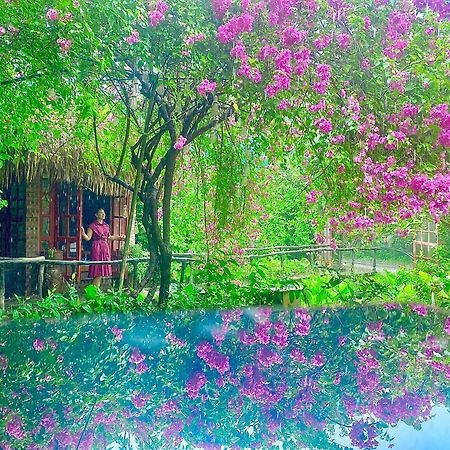 Maison Teahouse Homestay Ha Giang Εξωτερικό φωτογραφία
