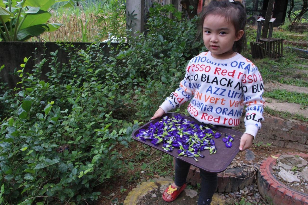 Maison Teahouse Homestay Ha Giang Εξωτερικό φωτογραφία