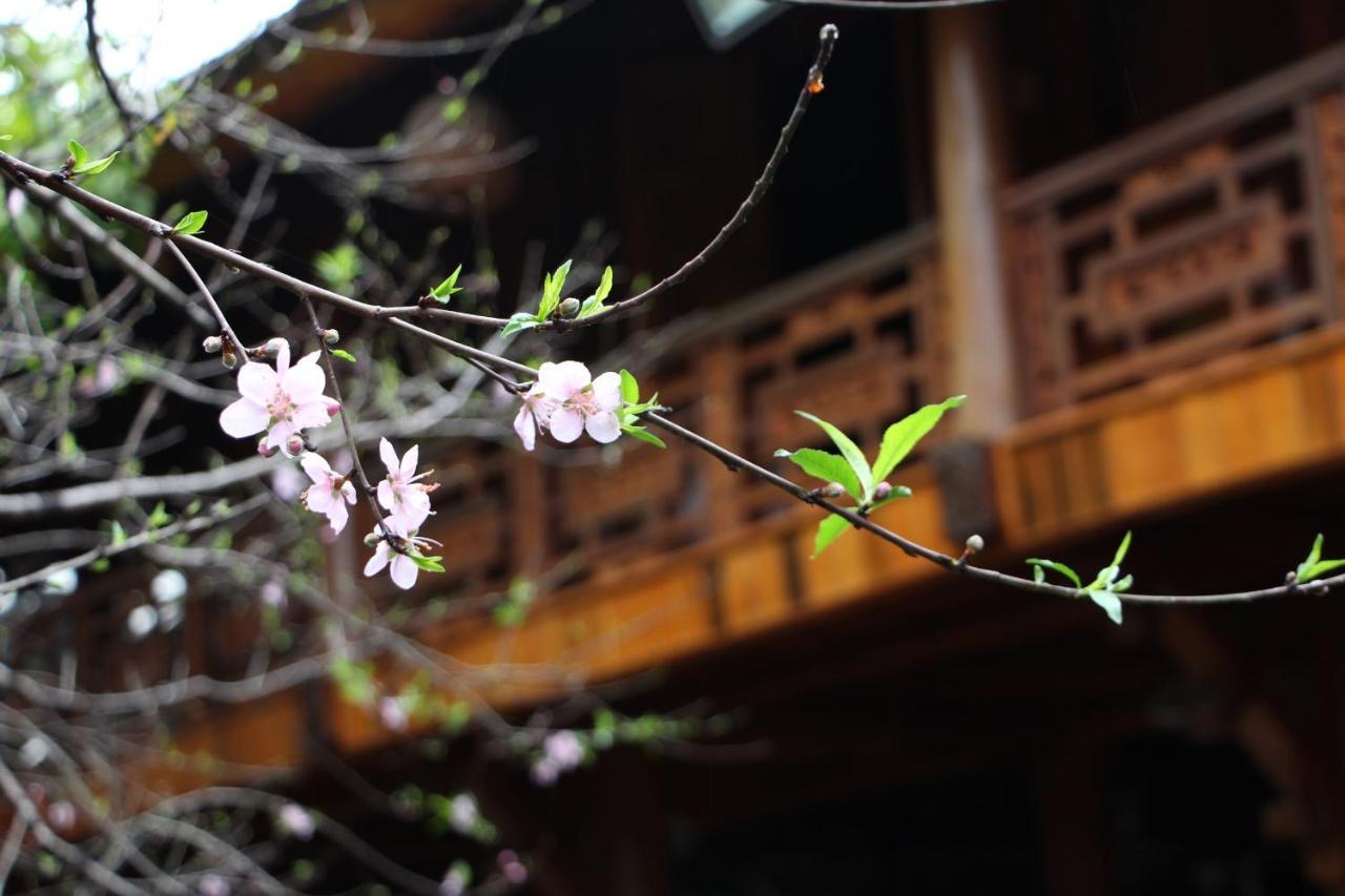Maison Teahouse Homestay Ha Giang Εξωτερικό φωτογραφία
