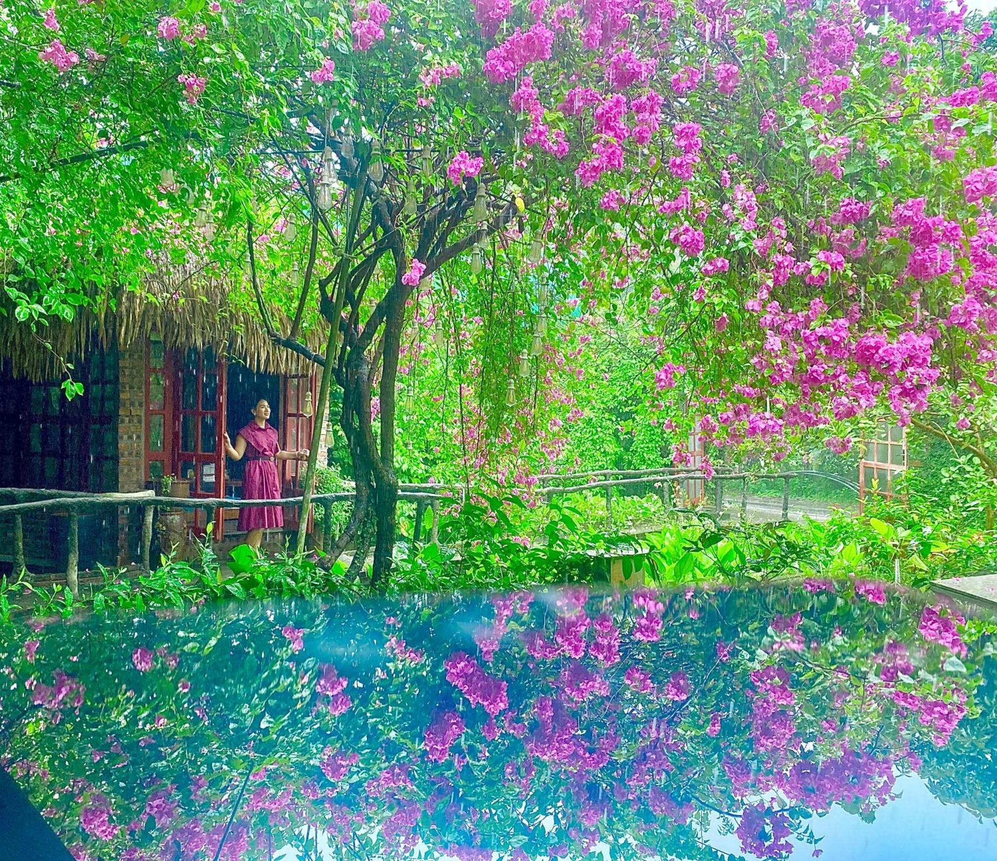 Maison Teahouse Homestay Ha Giang Εξωτερικό φωτογραφία